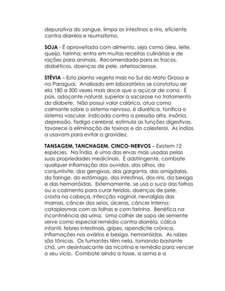 depurativa do sangue, limpa os intestinos e rins, eficiente
contra diarréia e reumatismo.

SOJA - É aproveitada com alimento, seja como óleo, leite,
queijo, farinha; entra em muitas receitas culinárias e de
rações para animais. Recomendada para os fracos,
diabéticos, doenças de pele, arteriosclerose.

STÉVIA – Esta planta vegeta mais no Sul do Mato Grosso e
no Paraguai. Analisado em laboratórios se constatou ser
ela 180 a 300 vezes mais doce que o açúcar de cana. É
pois, adoçante natural, superior a sacarose no tratamento
do diabete. Não possui valor calórico, atua como
calmante sobre o sistema nervoso, é diurética, tonifica o
sistema vascular, indicada contra a pressão alta, insônia,
depressão, fadiga cerebral, estimula as funções digestivas,
favorece a eliminação de toxinas e do colesterol. As índias
a usavam para evitar a gravidez.

TANSAGEM, TANCHAGEM, CINCO-NERVOS – Existem 12
espécies. Na Índia, é uma das ervas mais usadas pelas
suas propriedades medicinais. É adstringente, combate
qualquer inflamação dos ouvidos, dos olhos, da
conjuntivite, das gengivas, das garganta, das amígdalas,
da faringe, do estômago, dos intestinos, dos rins, da bexiga
e das hemorróidas. Externamente, se usa o suco das folhas
ou o cozimento para curar feridas, doenças de pele,
crosta na cabeça, infecção vaginal, nevralgias das
mamas, câncer dos seios, úlceras, câncer interno;
cataplasmas com as folhas e com farinha. Benéfica na
incontinência da urina. Uma colher de sopa de semente
serve como especial remédio contra diarréia, cólica
infantil, febres intestinais, gripes, apendicite crônica,
inflamações nos ovários e bexiga, hemorróidas. As raízes
são tônicas. Os fumantes têm nela, tomando bastante
chá, um desintoxicante da nicotina e remédio para vencer
o seu vício. Combate ainda a tosse, a asma e a
 