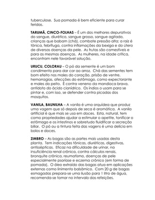 tuberculose. Sua pomada é bem eficiente para curar
feridas.

TARUMÃ, CINCO-FOLHAS – É um dos melhores depurativos
do sangue, diurético, sangue grosso, sangue agitado,
crianças que babam (chá), combate pressão alta; a raiz é
tônica, febrífuga, contra inflamações da bexiga e do útero
de diversas doenças da pele. As frutas são comestíveis e
para as mesmas doenças. As mulheres, na idade crítica,
encontram nele favorável solução.

URUCU, COLORAU – O pó da semente é um bom
condimento para dar cor ao arroz. Chá das sementes tem
bom efeito nos males do coração, prisão de ventre,
hemorragias, afecções do estômago, como expectorante
e males do peito. É contra veneno da mandioca brava,
antídoto do ácido cianídrico. Os índios o usam para se
pintar e, com isso, se defender contra picadas dos
mosquitos.

VANILA, BAUNILHA – A vanila é uma orquídea que produz
uma vagem que só depois de seca é aromática. A vanila
artificial é que mais se usa em doces. Esta, natural, tem
como propriedades ajudar a estimular o apetite, tonificar o
estômago e os intestinos e sobretudo fluidificar a secreção
biliar. O pó ou a tintura feita das vagens é uma delícia em
bolos e doces.

ZIMBRO – As bagas são as partes mais usadas desta
planta. Tem indicações tônicas, diuréticas, digestivas,
antissépticas. Eficaz na dificuldade de urinar, na
insuficiência renal crônica, contra cálculos renais,
bronquite crônica, reumatismo, doenças de pele
especialmente psoríase e eczema crônico (em forma de
pomada). O óleo extraído das bagas atua em aplicações
externas como linimento balsâmico. Com 20 g de bagas
esmagadas prepara-se uma ilusão para 1 litro de água,
recomenda-se tomar no intervalo das refeições.
 