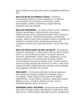 gases; folhas secas colocadas sobre as pálpebras aliviam a
dor.

ERVA-DE-BICHO OU PIMENTA D’ÁGUA – Diurética;
hemorragias gástricas, varizes, aperiente, na falta de
menstruação, para clisteres e em banhos contra
hemorróidas, vermes e disenterias sangüinolentas;
afecções das vias urinárias.

ERVA-DE–PASSARINHO – As folhas e flores contra: diabetes,
histeria, hemorragias, feridas (lavar), pneumonia,
arteriosclerose, asma, afecções da pela, frieiras, úlceras e
moléstias uterinas. Remédio para baixar a pressão do
sangue. Exerce ação tônica-sedativa sobre o coração e é
eficiente na idade crítica, transtornos nervosos das
mulheres e mesmo em casos de câncer. Iniciar com dose
fraca.

ERVA-DE-SANTA-MARIA OU ERVA-DE-BICHA – 40 espécies.
Poderoso vermífugo, 1 colher de semente ou feito chá por
dose, ou chá das folhas em jejum; combate doenças
nervosas, hemorróidas, varizes, dores, indigestão; o suco
(duas colheres) cura manchas dos pulmões, facilita
menstruações; toma-se ao fraturar ossos. Contra vermes,
toma-se 2 dias seguidos de manhã ou à noite. É eficaz na
angina do peito, palpitações do coração, má circulação,
sono agitado, zumbido nos ouvidos.

ERVA-MATE – O chimarrão reanima as forças corporais,
estimulante do cérebro, resistência a fadiga, ativa a
circulação. Mate cozido é bom para lavar feridas,
desinfetante, contra insônia, sudorífica, efeito bom para o
fígado e os rins. Contém cafeína, por isso, vicia e,
tomando demais, ataca os nervos.

ESPINHEIRA-SANTA, MAYTENUS - Ulcerações do estômago,
afecções da pele, feridas, desinfetante, cicatrizante, bom
para os rins, acalma dores, neutraliza o ácido, remédio de
 