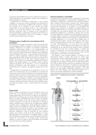 mejorará la predecibilidad de los nuevos modelos de riesgo que se
están elaborando en la actualidad y tendrá como resultado un
perfeccionamiento continuo.
Comprender los mecanismos ambientales es una cuestión
compleja, y es necesario conocer previamente los fenómenos de
perturbación y homeostasis (equilibrio) del ecosistema. Aunque
esta cuestión no se examina en este artículo, una mejor
comprensión de los mecanismos tóxicos y sus consecuencias
últimas en un ecosistema ayudaría a los científicos a adoptar
decisiones prudentes sobre el manejo de los materiales de
desecho municipales e industriales. La gestión de los desechos es
un ámbito de investigación cada vez más amplio, y seguirá
teniendo mucha importancia en el futuro.
Técnicas para estudiar los mecanismos de la
toxicidad
La mayoría de los estudios mecanicistas se inicia con una descrip-
ción toxicológica referida a animales o a observaciones clínicas en
humanos. Idealmente, los estudios con animales comprenden
cuidadosas observaciones clínicas y de comportamiento, un
minucioso examen bioquímico de los elementos de la sangre y la
orina en busca de signos de deterioro funcional en los principales
sistemas biológicos del cuerpo, y una evaluación post-mortem de
todos los sistemas orgánicos, mediante examen microscópico,
para comprobar la lesión (véanse las directrices de ensayos de la
OCDE; las directivas de la UE sobre evaluación química; las
normas sobre ensayos de la Environmental Protection Agency
(EPA) de los Estados Unidos, y la normativa sobre sustancias
químicas del Japón). En los humanos, y con la excepción del
examen post-mortem, todo ello equivale a un concienzudo
examen físico que se realiza en un hospital a lo largo de dos o tres
días.
Comprender los mecanismos de la toxicidad es el arte y la
ciencia de la observación, de la creatividad en la selección de
técnicas para ensayar diversas hipótesis y de la integración inno-
vadora de signos y síntomas en una relación causal. Los estudios
mecanicistas se inician con la exposición, hacen un seguimiento
de la distribución temporal y el destino en el organismo (farma-
cocinética) y miden el efecto tóxico resultante a algún nivel del
sistema y a algún nivel de dosis. Al provocar la toxicidad, sustan-
cias diferentes pueden actuar a niveles diferentes del sistema
biológico.
Exposición
En los estudios mecanicistas, la ruta de exposición suele ser la
misma que en la exposición humana. La ruta es importante
porque puede haber efectos locales en el lugar de la exposición y
además efectos sistémicos una vez que la sustancia ha sido absor-
bida en la sangre y distribuida por todo el cuerpo. Un ejemplo
sencillo pero revelador de un efecto local sería la irritación y
eventual corrosión de la piel tras la aplicación de soluciones
ácidas o alcalinas fuertes como las que se emplean para limpiar
superficies duras. Análogamente, puede producirse irritación y
muerte celular en las células que revisten los orificios nasales y/o
el pulmón tras la exposición a vapores o gases irritantes, como
óxidos de nitrógeno u ozono. (Ambos están presentes en la conta-
minación atmosférica.) Tras la absorción de una sustancia
química en la sangre a través de la piel, el pulmón o el tracto
gastrointestinal, la concentración en cualquier órgano o tejido
está controlada por muchos factores que determinan la farmaco-
cinética de esa sustancia en el cuerpo. Como veremos más
adelante, el cuerpo es capaz no sólo de detoxificar sino también
de activar diversas sustancias químicas.
Farmacocinética y toxicidad
La farmacocinética describe el marco temporal de la absorción,
distribución, metabolismo (transformaciones bioquímicas en el
organismo) y eliminación o excreción de las sustancias químicas.
Estas variables farmacocinéticas pueden tener mucha impor-
tancia en relación con los mecanismos de toxicidad, y en algunos
casos pueden determinar si se produce o no toxicidad. Por
ejemplo, si un material no se absorbe en cantidad suficiente no
habrá toxicidad sistémica (en el interior del cuerpo). A la inversa,
es posible que una sustancia química muy reactiva que se ha
detoxificado rápidamente (en segundos o minutos) por la acción
de enzimas digestivas o hepáticas no tenga tiempo para provocar
toxicidad. Algunas sustancias y mezclas halogenadas policíclicas,
y también algunos metales como el plomo, no producirían una
toxicidad significativa si su excreción fuera rápida; pero su
acumulación hasta llegar a niveles suficientemente altos deter-
mina su toxicidad, pues la excreción no es rápida (a veces se mide
en años). Afortunadamente, son muy pocas las sustancias
químicas que se retienen durante tanto tiempo en el cuerpo. La
acumulación de un material inocuo tampoco induce toxicidad.
La velocidad con que una sustancia química se elimina del
cuerpo y se detoxifica es lo que suele expresarse como su vida
media, que es el tiempo que se necesita para que el 50 % de ella
sea excretado o convertido en una forma no tóxica.
No obstante, si una sustancia química se acumula en una
determinada célula u órgano, ello puede ser motivo para
examinar más a fondo su toxicidad potencial en ese órgano. Más
recientemente se han elaborado modelos matemáticos para
extrapolar de los animales a los humanos variables farmacociné-
ticas. Tales modelos farmacocinéticos son sumamente útiles para
generar hipótesis y determinar si el animal de experimentación
puede ser un buen representante del ser humano. Sobre esta
cuestión hay una amplia bibliografía (Gehring y cols. 1976;
Reitz y cols. 1987; Nolan y cols. 1995). En la Figura 33.7 se
muestra un ejemplo simplificado de modelo fisiológico.
33.30 INTRODUCCION Y CONCEPTOS ENCICLOPEDIA DE SALUD Y SEGURIDAD EN EL TRABAJO
HERRAMIENTAS Y ENFOQUES
Pulmón
ENTRADA FLUJO
Sistema
digestivo
Volumen pulmonar
Sistema digestivo
Volumen hepático
Volumen renal
Volumen cerebral
Volumen muscular
Volumen graso
Corazón (izquierda) Corazón (derecha)
Figura 33.7 • Modelo farmacocinético simplificado.
 
