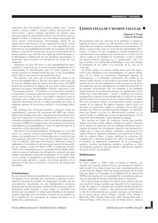 exposición altos ello produce la muerte celular (véase “Lesión
celular y muerte celular”). Aunque todavía desconocemos las
interacciones y dianas celulares específicas, los sistemas orgá-
nicos que poseen la capacidad de activar esas sustancias, como el
hígado, el riñón y el pulmón, son todos dianas potenciales del
efecto nocivo. Concretamente, determinadas células de un
órgano tienen una mayor o menor capacidad de activar o deto-
xificar esos productos intermedios, y es esa capacidad lo que
determina la susceptibilidad intracelular de un órgano. El meta-
bolismo es una de las razones por las que el conocimiento de la
farmacocinética, que describe esos tipos de transformaciones y
la distribución y eliminación de esos productos intermedios, es
importante para reconocer el mecanismo de acción de esas
sustancias.
Mecanismos del cáncer. El cáncer es una multiplicidad de enfer-
medades, y, a pesar de que se está avanzando rápidamente en el
conocimiento de determinados tipos de cáncer gracias a las
muchas técnicas de biología molecular que se han desarrollado
desde 1980, es aún mucho lo que queda por saber.
No obstante, está claro que el desarrollo del cáncer es un
proceso de múltiples fases, y que hay unos genes críticos que son
la clave de distintos tipos de cáncer. Las alteraciones del ADN
(mutaciones somáticas) en algunos de esos genes críticos pueden
provocar una mayor susceptibilidad o lesiones cancerosas (véase
“Toxicología genética”). Contribuye a las mutaciones somáticas
la exposición a sustancias químicas, naturales (en alimentos coci-
nados como la carne de vaca y el pescado) o sintéticas (como la
bencidina, que se utiliza como colorante), o a agentes físicos (la
radiación ultravioleta del sol, el radón procedente del suelo, la
radiación gamma de las técnicas médicas o la actividad indus-
trial).
Sin embargo, hay sustancias naturales y sintéticas (como los
antioxidantes) y procesos de reparación del ADN que desem-
peñan una función protectora y mantienen la homeostasis. Está
claro que la genética es un factor importante en el cáncer, pues
síndromes patológicos genéticos como el xeroderma pigmentoso,
en el que el ADN no se repara como sería normal, incrementan
radicalmente la susceptibilidad al cáncer de piel derivado de la
exposición a la luz ultravioleta del sol.
Mecanismos de la toxicidad reproductiva. Al igual que en el caso del
cáncer, se conocen muchos mecanismos de la toxicidad que
afecta a la reproducción y/o el desarrollo, pero es mucho lo que
aún queda por descubrir. Se sabe que determinados virus (como
el de la rubéola), infecciones bacterianas y fármacos (como la
talidomida y la vitamina A) afectan negativamente al desarrollo.
En un trabajo reciente de Khera (1991) revisado por Carney
(1994) se ha comprobado que las anomalías del desarrollo obser-
vadas en ensayos realizados con etilenglicol en animales son atri-
buibles a metabolitos ácidos del metabolismo de la madre. Esto
ocurre cuando el etilenglicol se metaboliza a metabolitos ácidos
como los ácidos glicólico y oxálico. Los efectos ulteriores en la
placenta y el feto parecen deberse a ese proceso de intoxicación
metabólica.
Conclusiones
En este artículo hemos pretendido ofrecer un panorama de varios
mecanismos de la toxicidad que conocemos y subrayar la nece-
sidad de proseguir los estudios. Es importante entender que los
conocimientos mecanicistas no son absolutamente necesarios
para proteger la salud humana o ambiental. Pero gracias a ellos el
profesional podrá predecir y tratar mejor la toxicidad. Las
técnicas que actualmente se utilizan para elucidar un mecanismo
concreto dependen del conocimiento colectivo de los científicos y
de la opinión de los encargados de adoptar decisiones en el
ámbito de la salud humana.
•
LESION CELULAR Y MUERTE CELULAR
LESION CELULAR Y MUERTE CELULAR
Benjamin F. Trump
e Irene K. Berezesky
Prácticamente todos los esfuerzos de la medicina se dedican a
impedir la muerte celular, en enfermedades como el infarto de
miocardio, los accidentes cerebrovasculares, los traumatismos y el
shock, o a provocarla, como en el caso de las enfermedades infec-
ciosas y el cáncer. Es por consiguiente esencial comprender la
naturaleza de los mecanismos que intervienen en ese proceso. La
muerte celular se ha dividido en “accidental”, es decir, causada
por agentes tóxicos, isquemia, etc., y “programada”, que es la
que se produce en el desarrollo embriológico, como por ejemplo
la formación de los dedos o la resorción de la cola en el
renacuajo.
La lesión celular y la muerte celular tienen por ello impor-
tancia tanto fisiológica como patofisiológica. La muerte fisioló-
gica de la célula es sumamente importante durante la
embriogénesis y el desarrollo embrionario. El estudio de la
muerte celular durante el desarrollo ha permitido obtener infor-
mación nueva y de gran importancia sobre los procesos de gené-
tica molecular, gracias especialmente al análisis del desarrollo en
los animales invertebrados. En esos animales se ha estudiado
minuciosamente la localización precisa y la significación de las
células que están destinadas a morir, y mediante las técnicas
mutagenéticas clásicas se han identificado ya varios de los genes
que intervienen en ese proceso. En los órganos adultos, el equili-
brio entre la muerte celular y la proliferación celular controla el
tamaño de los órganos. En algunos órganos, como la piel y el
intestino, la renovación celular es continua. En la piel, por
ejemplo, las células se van diferenciando al llegar a la superficie
hasta que llegan a la fase de diferenciación terminal y a la
muerte celular a medida que avanza la queratinización, con la
formación de las llamadas “capas plegadas en zigzag”.
Son muchas las clases de sustancias tóxicas que pueden
inducir una lesión celular aguda y después la muerte. Tenemos
así la anoxia y la isquemia, con sus análogos químicos como el
cianuro de potasio; los carcinógenos químicos, que forman elec-
trófilos que se unen con enlaces covalentes a proteínas de los
ácidos nucleicos; sustancias oxidantes, que provocan la forma-
ción de radicales libres y lesión oxidativa; la activación del
complemento, y diversos ionóforos de calcio. La muerte celular
es también un importante componente de la carcinogénesis
química; muchos carcinógenos químicos completos, a dosis
carcinógenas, producen necrosis aguda e inflamación seguidas
de regeneración y preneoplasia.
Definiciones
Lesión celular
La lesión celular se define como un hecho o estímulo, por
ejemplo una sustancia química tóxica, que perturba la homeos-
tasis normal de la célula, lo que hace que se produzcan diversos
acontecimientos (Figura 33.9). Las dianas principales de la lesión
letal que figura en el ejemplo son la inhibición de la síntesis del
ATP, la interrupción de la continuidad de la membrana plasmá-
tica y la supresión de factores esenciales para el crecimiento.
Las lesiones letales acaban en la muerte de la célula al cabo de
un período de tiempo variable, que depende de la temperatura,
el tipo de célula y el estímulo; pero también pueden producirse
lesiones subletales o crónicas —que provocan un estado de alte-
ración de la homeostasis que, aunque anómalo, no desemboca
en la muerte de la célula (Trump y Arstila 1971; Trump y
Berezesky 1992; Trump y Berezesky 1995; Trump, Berezesky y
Osornio-Vargas 1981). En los casos de lesión letal se observa
ENCICLOPEDIA DE SALUD Y SEGURIDAD EN EL TRABAJO 33.33 LESION CELULAR Y MUERTE CELULAR 33.33
HERRAMIENTAS Y ENFOQUES
33.
TOXICOLOGIA
 