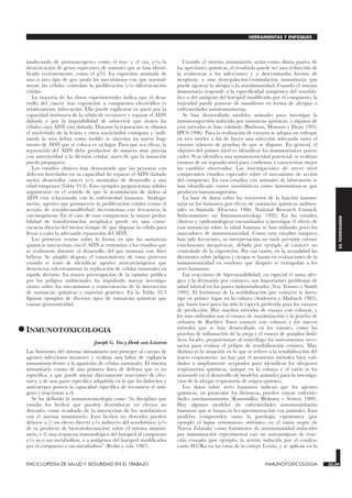 inadecuada de protooncogenes como el myc y el ras, y/o la
desactivación de genes supresores de tumores que se han identi-
ficado recientemente, como el p53. La expresión anómala de
uno u otro tipo de gen anula los mecanismos con que normal-
mente las células controlan la proliferación y/o diferenciación
celular.
La mayoría de los datos experimentales indica que el desa-
rrollo del cáncer tras exposición a compuestos electrófilos es
relativamente infrecuente. Ello puede explicarse en parte por la
capacidad intrínseca de la célula de reconocer y reparar el ADN
dañado o por la imposibilidad de sobrevivir que tienen las
células cuyo ADN está dañado. Durante la reparación se elimina
el nucleótido de la lesión y otros nucleótidos contiguos y (utili-
zando la otra hebra como molde) se sintetiza un nuevo frag-
mento de ADN que se coloca en su lugar. Para que sea eficaz, la
reparación del ADN debe producirse de manera muy precisa
con anterioridad a la división celular, antes de que la mutación
pueda propagarse.
Los estudios clínicos han demostrado que las personas con
defectos heredados en su capacidad de reparar el ADN dañado
suelen desarrollar cáncer y/o anomalías de desarrollo a una
edad temprana (Tabla 33.4). Esos ejemplos proporcionan sólidos
argumentos en el sentido de que la acumulación de daños al
ADN está relacionada con la enfermedad humana. Análoga-
mente, agentes que promueven la proliferación celular (como el
acetato de tetradecanoilforbol) incrementan con frecuencia la
carcinogénesis. En el caso de esos compuestos, la mayor proba-
bilidad de transformación neoplásica puede ser una conse-
cuencia directa del menor tiempo de que dispone la célula para
llevar a cabo la adecuada reparación del ADN.
Las primeras teorías sobre la forma en que las sustancias
químicas interactúan con el ADN se remontan a los estudios que
se realizaron durante el desarrollo del gas mostaza con fines
bélicos. Se amplió después el conocimiento de estos procesos
cuando se trató de identificar agentes anticarcinógenos que
detuvieran selectivamente la replicación de células tumorales en
rápida división. La mayor preocupación de la opinión pública
por los peligros ambientales ha impulsado nuevas investiga-
ciones sobre los mecanismos y consecuencias de la interacción
de sustancias químicas y material genético. En la Tabla 33.5
figuran ejemplos de diversos tipos de sustancias químicas que
causan genotoxicidad.
•INMUNOTOXICOLOGIA
INMUNOTOXICOLOGIA
Joseph G. Vos y Henk van Loveren
Las funciones del sistema inmunitario son proteger al cuerpo de
agentes infecciosos invasores y realizar una labor de vigilancia
inmunitaria frente a la aparición de células tumorales. El sistema
inmunitario consta de una primera línea de defensa que es no
específica, y que puede iniciar directamente reacciones de efec-
tores, y de una parte específica adquirida en la que los linfocitos y
anticuerpos poseen la capacidad específica de reconocer el antí-
geno y reaccionar a él.
Se ha definido la inmunotoxicología como “la disciplina que
estudia los hechos que pueden desembocar en efectos no
deseados como resultado de la interacción de los xenobióticos
con el sistema inmunitario. Esos hechos no deseados pueden
deberse a 1) un efecto directo y/o indirecto del xenobiótico (y/o
de su producto de biotransformación) sobre el sistema inmuni-
tario, o 2) una respuesta inmunológica del huésped al compuesto
y/o su o sus metabolitos, o a antígenos del huésped modificados
por el compuesto o sus metabolitos” (Berlin y cols. 1987).
Cuando el sistema inmunitario actúa como diana pasiva de
las agresiones químicas, el resultado puede ser una reducción de
la resistencia a las infecciones y a determinadas formas de
neoplasia, o una desregulación/estimulación inmunitaria que
puede agravar la alergia o la autoinmunidad. Cuando el sistema
inmunitario responde a la especificidad antigénica del xenobió-
tico o del antígeno del huésped modificado por el compuesto, la
toxicidad puede ponerse de manifiesto en forma de alergias o
enfermedades autoinmunitarias.
Se han desarrollado modelos animales para investigar la
inmunosupresión inducida por sustancias químicas, y algunos de
esos métodos se han validado (Burleson, Munson y Dean 1995;
IPCS 1996). Para la realización de ensayos se adopta un enfoque
en tres niveles a fin de hacer una selección adecuada entre el
enorme número de pruebas de que se dispone. En general, el
objetivo del primer nivel es identificar los inmunotóxicos poten-
ciales. Si se identifica una inmunotoxicidad potencial, se realizan
ensayos de un segundo nivel para confirmar y caracterizar mejor
los cambios observados. Las investigaciones de tercer nivel
comprenden estudios especiales sobre el mecanismo de acción
del compuesto. En esos estudios con animales de laboratorio se
han identificado varios xenobióticos como inmunotóxicos que
producen inmunosupresión.
La base de datos sobre los trastornos de la función inmuni-
taria en los humanos por efecto de sustancias químicas ambien-
tales es limitada (Descotes 1986; National Research Council,
Subcommittee on Immunotoxicology 1992). En los estudios
clínicos y epidemiológicos encaminados a investigar el efecto de
esas sustancias sobre la salud humana se han utilizado poco los
marcadores de inmunotoxicidad. Como esos estudios tampoco
han sido frecuentes, su interpretación no suele permitir extraer
conclusiones inequívocas, debido por ejemplo al carácter no
controlado de la exposición. Por esa razón, en la actualidad las
decisiones sobre peligros y riesgos se basan en evaluaciones de la
inmunotoxicidad en roedores que después se extrapolan a los
seres humanos.
Las reacciones de hipersensibilidad, en especial el asma alér-
gico y la dermatitis por contacto, son importantes problemas de
salud laboral en los países industrializados (Vos, Younes y Smith
1995). El fenómeno de la sensibilización por contacto se inves-
tigó en primer lugar en la cobaya (Andersen y Maibach 1985),
que hasta hace poco ha sido la especie preferida para los ensayos
de predicción. Hay muchos métodos de ensayo con cobayas, y
los más utilizados son el ensayo de maximización y la prueba de
oclusión de Buehler. Estos ensayos con cobayas y los nuevos
métodos que se han desarrollado en los ratones, como las
pruebas de inflamación de la oreja y el ensayo de ganglios linfá-
ticos locales, proporcionan al toxicólogo los instrumentos nece-
sarios para evaluar el peligro de sensibilización cutánea. Muy
distinta es la situación en lo que se refiere a la sensibilización del
tracto respiratorio: no hay por el momento métodos bien vali-
dados o ampliamente aceptados para identificar los alergenos
respiratorios químicos, aunque en la cobaya y el ratón se ha
avanzado en el desarrollo de modelos animales para la investiga-
ción de la alergia respiratoria de origen químico.
Los datos sobre seres humanos indican que los agentes
químicos, en particular los fármacos, pueden causar enferme-
dades autoinmunitarias (Kammüller, Bloksma y Seinen 1989).
Hay algunos modelos de enfermedades autoinmunitarias
humanas que se basan en la experimentación con animales. Esos
modelos comprenden tanto la patología espontánea (por
ejemplo el lupus eritematoso sistémico en el ratón negro de
Nueva Zelanda) como fenómenos de autoinmunidad inducidos
por inmunización experimental con un autoantígeno de reac-
ción cruzada (por ejemplo, la artritis inducida por el coadyu-
vante H37Ra en las ratas de la estirpe Lewis), y se aplican en la
ENCICLOPEDIA DE SALUD Y SEGURIDAD EN EL TRABAJO 33.39 INMUNOTOXICOLOGIA 33.39
HERRAMIENTAS Y ENFOQUES
33.
TOXICOLOGIA
 