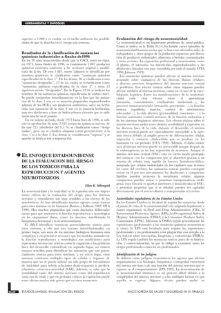 superior a 1.000 y es estable en el medio ambiente las posibili-
dades de que se absorba en el cuerpo son remotas.
Resultados de la clasificación de sustancias
químicas industriales a finales de1996
En los 26 años transcurridos desde que la CSCL entró en vigor,
en 1973, hasta finales de 1996, se examinaron 1.087 productos
químicos existentes conforme a las versiones original y modifi-
cada de la ley. De esos 1.087, nueve (algunos se identifican por
nombres genéricos) se clasificaron como “sustancias químicas
especificadas de la clase 1”. De los demás, 36 se clasificaron como
“sustancias designadas”, 23 de las cuales se reclasificaron como
“sustancias químicas especificadas de la clase 2” y otras 13
siguieron siendo “designadas”. En la Figura 33.16 se indican los
nombres de las sustancias químicas especificadas de ambas clases.
Se puede comprobar inmediatamente en la lista que las sustan-
cias de la clase 1 son en su mayoría plaguicidas organoclorados
además de los PCB y sus productos sustitutivos, salvo un herbi-
cida. Las sustancias de la clase 2 son en su mayoría herbicidas,
más tres disolventes a base de hidrocarburos clorados que se utili-
zaron mucho en el pasado.
En ese mismo período, desde 1973 hasta fines de 1996, se soli-
citó la aprobación de unas 2.335 sustancias químicas nuevas, de
las que 221 (alrededor del 9,5 %) se clasificaron como “desig-
nadas”, pero no se clasificó ninguna como perteneciente a la
clase 1 ni a la clase 2. Las demás se consideraron “seguras” y se
aprobó su fabricación o importación.
•EL ENFOQUE ESTADOUNIDENSE
DE LA EVALUACION DEL RIESGO
DE LOS TOXICOS PARA LA
REPRODUCCION Y AGENTES
NEUROTOXICOS
ESTADOS UNIDOS: EVALUACION DEL RIESGO
Ellen K. Silbergeld
La neurotoxicidad y la toxicidad en la reproducción son impor-
tantes esferas de la evaluación del riesgo, pues los sistemas
nervioso y reproductor son muy sensibles a los efectos de los
xenobióticos. Se han identificado muchos agentes como tóxicos
para estos sistemas en los humanos (Barlow y Sullivan 1982; OTA
1990). Hay muchos plaguicidas que están diseñados deliberada-
mente para que trastornen la función reproductora y neurológica
en los organismos diana, como los insectos, interfiriendo la
bioquímica hormonal y la neurotransmisión.
Es difícil identificar sustancias potencialmente tóxicas para
estos sistemas, y ello por tres razones interrelacionadas: en
primer lugar, son unos de los sistemas biológicos humanos más
complejos, y en general se reconoce que los modelos animales de
la función reproductora y neurológica son insuficientes para
representar hechos tan críticos como la cognición o las primeras
fases del desarrollo embriofetal; en segundo lugar, no existen
ensayos sencillos para identificar las sustancias que son poten-
cialmente tóxicas para estos sistemas, y, en tercer lugar, estos
sistemas contienen múltiples tipos de células y órganos, de
manera que no se puede utilizar un solo grupo de mecanismos
de toxicidad para inferir relaciones dosis-respuesta o predecir
relaciones estructura-actividad (SAR). Además, se sabe que la
sensibilidad tanto del sistema nervioso como del reproductor
varía con la edad, y que en períodos críticos la exposición puede
tener efectos mucho más graves que en otros momentos.
Evaluación del riesgo de neurotoxicidad
La neurotoxicidad es un importante problema de salud pública.
Como se indica en la Tabla 33.14, ha habido varios episodios de
neurotoxicidad humana en los que se han visto afectados miles de
trabajadores y otros grupos de la población expuestos por libera-
ción de productos industriales, alimentos o bebidas contaminados
y otros vectores. La exposición profesional a neurotoxinas como
el plomo, el mercurio, los insecticidas organofosforados y los
disolventes clorados está muy extendida por todo el mundo (OTA
1990; Johnson 1978).
Las sustancias químicas pueden afectar al sistema nervioso
actuando sobre cualquiera de las diversas dianas celulares
o diversos procesos bioquímicos del sistema nervioso central
o periférico. Los efectos tóxicos sobre otros órganos pueden
afectar también al sistema nervioso, como en el caso de la ence-
falopatía hepática. Entre las manifestaciones de la neurotoxi-
cidad cabe citar efectos sobre el aprendizaje
(memoria, conocimiento, rendimiento intelectual…), los
procesos somatosensoriales (sensación, percepción…), la función
motora (equilibrio, marcha, control de movimientos
adecuados…), la vida afectiva (personalidad, emociones…) y la
función autónoma (control nervioso de la función endocrina y
de los sistemas orgánicos internos). Los efectos tóxicos sobre el
sistema nervioso suelen tener distinta sensibilidad y expresión en
las diversas fases de la vida: durante el desarrollo, el sistema
nervioso central puede ser especialmente susceptible a la agre-
sión tóxica debido al amplio proceso de diferenciación celular,
migración y contacto célula-célula que se produce en los
humanos en ese período (OTA 1990). Además, el daño citotó-
xico al sistema nervioso puede ser irreversible porque después de
la embriogénesis ya no hay reposición de neuronas. Aunque el
sistema nervioso central (SNC) está en cierto modo protegido
del contacto con los compuestos que se absorben gracias a un
sistema de células muy tupido (la barrera hematoencefálica,
integrada por células endoteliales de los capilares que revisten
los vasos del cerebro), las sustancias tóxicas pueden conseguir
entrar en él por tres mecanismos: los disolventes y compuestos
lipófilos pueden atravesar la membrana celular; algunos
compuestos pueden unirse a proteínas transportadoras endó-
genas cuya función es aportar nutrientes y biomoléculas al SNC,
y proteínas pequeñas que si se inhalan pueden ser captadas
directamente por el nervio olfativo y transportadas al cerebro.
Autoridades reguladoras de los Estados Unidos
En los Estados Unidos, la facultad de regular las sustancias desde
el punto de vista de la neurotoxicidad está asignada legalmente a
cuatro organismos: la Food and Drug Administration (FDA), la
Environment Protection Agency (EPA), la Occupational Safety &
Hygiene Administration (OSHA) y la Consumer Products Safety
Commission (CPSC). Mientras la OSHA regula generalmente las
exposiciones profesionales a las sustancias químicas neurotóxicas
(y otras), la EPA está facultada para regular las exposiciones
profesionales y no profesionales a los plaguicidas con arreglo a la
Ley federal sobre insecticidas, fungicidas y rodenticidas (FIFRA).
La EPA regula también las sustancias nuevas antes de su fabrica-
ción y comercialización, lo que la obliga a examinar tanto los
riesgos profesionales como los no profesionales.
Identificación de los peligros
Se definen como peligros neurotóxicos los agentes que afectan
negativamente a la fisiología, bioquímica o integridad estructural
del sistema nervioso o de una función del sistema nervioso que se
expresa en el comportamiento (EPA 1993). La determinación de
la neurotoxicidad intrínseca es un proceso difícil debido a la
complejidad del sistema nervioso y a las múltiples formas en que
aquélla se expresa. Algunos efectos pueden tardar en
33.60 ESTADOS UNIDOS: EVALUACION DEL RIESGO ENCICLOPEDIA DE SALUD Y SEGURIDAD EN EL TRABAJO
HERRAMIENTAS Y ENFOQUES
 