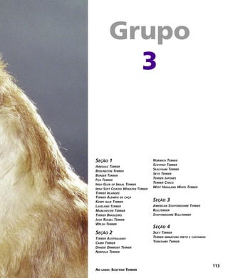 NORWICH TERRIER
SCOTTISH TERRIER
SEALYHAM TERRIER
SKYE TERRIER
TERRIER JAPONÊS
TERRIER CHECO
WEST HIGHLAND WHITE TERRIER
SEÇÃO 3
AMERICAN STAFFORDSHIRE TERRIER
BULLTERRIER
STAFFORDSHIRE BULLTERRIER
SEÇÃO 4
SILKY TERRIER
TERRIER MINIATURA PRETO E CASTANHO
YORKSHIRE TERRIER
SEÇÃO 1
AIREDALE TERRIER
BEDLINGTON TERRIER
BORDER TERRIER
FOX TERRIER
IRISH GLEN OF IMAAL TERRIER
IRISH SOFT COATED WHEATEN TERRIER
TERRIER IRLANDÊS
TERRIER ALEMÃO DE CAÇA
KERRY BLUE TERRIER
LAKELAND TERRIER
MANCHESTER TERRIER
TERRIER BRASILEIRO
JACK RUSSEL TERRIER
WELSH TERRIER
SEÇÃO 2
TERRIER AUSTRALIANO
CAIRN TERRIER
DANDIE DINMONT TERRIER
NORFOLK TERRIER
AO LADO: SCOTTISH TERRIER
Grupo
3
113
 