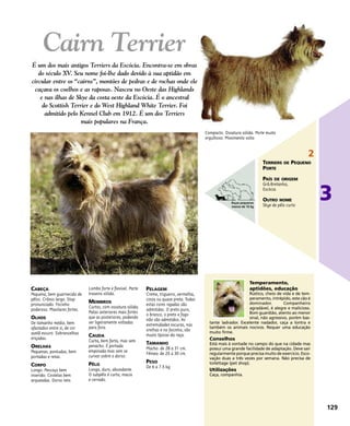 CABEÇA
Pequena, bem guarnecida de
pêlos. Crânio largo. Stop
pronunciado. Focinho
poderoso. Maxilares fortes.
OLHOS
De tamanho médio, bem
afastados entre si, de cor
avelã escuro. Sobrancelhas
eriçadas.
ORELHAS
Pequenas, pontudas, bem
portadas e retas.
CORPO
Longo. Pescoço bem
inserido. Costelas bem
arqueadas. Dorso reto.
Lombo forte e flexível. Parte
traseira sólida.
MEMBROS
Curtos, com ossatura sólida.
Patas anteriores mais fortes
que as posteriores, podendo
ser ligeiramente voltadas
para fora.
CAUDA
Curta, bem farta, mas sem
penacho. É portada
empinada mas sem se
curvar sobre o dorso.
PÊLO
Longo, duro, abundante.
O subpêlo é curto, macio
e cerrado.
PELAGEM
Creme, trigueiro, vermelha,
cinza ou quase preta. Todas
estas cores rajadas são
admitidas. O preto puro,
o branco, o preto e fogo
não são admitidos. As
extremidades escuras, nas
orelhas e no focinho, são
muito típicas da raça.
TAMANHO
Macho: de 28 a 31 cm.
Fêmea: de 25 a 30 cm.
PESO
De 6 a 7.5 kg.
Temperamento,
aptidões, educação
Rústico, cheio de vida e de tem-
peramento, intrépido, este cão é
dominador. Companheiro
agradável, é alegre e malicioso.
Bom guardião, atento ao menor
sinal, não agressivo, porém bas-
tante ladrador. Excelente nadador, caça a lontra e
também os animais nocivos. Requer uma educação
muito firme.
Conselhos
Está mais à vontade no campo do que na cidade mas
possui uma grande facilidade de adaptação. Deve sair
regularmente porque precisa muito de exercício. Esco-
vação duas a três vezes por semana. Não precisa de
toilettage (pet shop).
Utilizações
Caça, companhia.
Compacto. Ossatura sólida. Porte muito
orgulhoso. Movimento solto
Cairn Terrier
É um dos mais antigos Terriers da Escócia. Encontra-se em obras
do século XV. Seu nome foi-lhe dado devido à sua aptidão em
circular entre os “cairns”, montões de pedras e de rochas onde ele
caçava os coelhos e as raposas. Nasceu no Oeste das Highlands
e nas ilhas de Skye da costa oeste da Escócia. É o ancestral
do Scottish Terrier e do West Highland White Terrier. Foi
admitido pelo Kennel Club em 1912. É um dos Terriers
mais populares na França.
129
3
2
TERRIERS DE PEQUENO
PORTE
PAÍS DE ORIGEM
Grã-Bretanha,
Escócia
OUTRO NOME
Skye de pêlo curto
Raças pequenas
menos de 10 kg
 