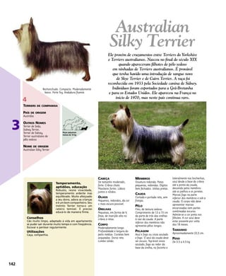 142
CABEÇA
De tamanho moderado,
forte. Crânio chato.
Maxilares fortes. Lábios
juntos e nítidos.
OLHOS
Pequenos, redondos, da cor
o mais escura possível.
ORELHAS
Pequenas, em forma de V,
finas, de inserção alta no
crânio e retas.
CORPO
Moderadamente longo.
Profundidade e largura do
peito médias. Costelas bem
arqueadas. Dorso reto.
Lombo sólido.
MEMBROS
Ossatura redonda. Patas
pequenas, redondas. Dígitos
bem fechados. Unhas pretas.
CAUDA
Cortada e portada reta, sem
franjas.
PÊLO
Fino, de textura sedosa.
Comprimento de 13 a 15 cm
da parte de trás das orelhas
à raiz da cauda. A parte
inferior dos membros não
apresenta pêlos longos.
PELAGEM
Azul e fogo ou cinza azulado
e fogo. O azul da cauda deve
ser escuro. Top-knot cinza
azulado, fogo ao redor da
base da orelha, no focinho e
lateralmente nas bochechas,
azul desde a base do crânio
até a ponta da cauda,
descendo pelos membros
até os joelhos e os jarretes.
Marcas fogo na parte
inferior dos membros e sob a
cauda. O corpo não deve
apresentar marcas
encarvoadas nem partes
sombreadas escuras.
Admite-se a cor preta nos
filhotes. A cor azul deve
estar presente por volta
dos 18 meses.
TAMANHO
Aproximadamente 22,5 cm.
PESO
De 3.5 a 4.5 kg
Temperamento,
aptidões, educação
Robusto, reúne vivacidade,
temperamento ardente mas
equilibrado. Muito afeiçoado
a seu dono, adora as crianças
e é um bom companheiro. Seu
instinto Terrier torna-o um
rateiro temível. É preciso
educá-lo de maneira firme.
Conselhos
Cão muito limpo, adaptado à vida em apartamento
se puder sair durante muito tempo e com freqüência.
Escovar e pentear regularmente.
Utilizações
Caça, companhia.
Rechonchudo. Compacto. Moderadamente
baixo. Porte Toy. Andadura fluente.
Australian
Silky Terrier
Ele provém de cruzamentos entre Terriers do Yorkshire
e Terriers australianos. Nasceu no final do século XIX
quando apareceram filhotes de pêlo sedoso
em ninhadas de Terriers australianos. É provável
que tenha havido uma introdução de sangue novo
de Skye Terrier e de Cairn Terrier. A raça foi
reconhecida em 1933 pela Sociedade canina de Sidney.
Indivíduos foram exportados para a Grã-Bretanha
e para os Estados Unidos. Ele apareceu na França no
início de 1970, mas neste país continua raro.
3
4
TERRIERS DE COMPANHIA
PAÍS DE ORIGEM
Austrália
OUTROS NOMES
Terrier de Seda,
Sidney Terrier,
Terrier de Sidney,
Terrier australiano de
pêlo sedoso
NOME DE ORIGEM
Australian Silky Terrier
Raças pequenas
menos de 10 kg
 
