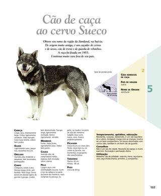 CABEÇA
Longa, seca, relativamente
larga. Crânio ligeiramente
volumoso. Stop marcado.
Cana nasal direita. Lábios
bem unidos.
OLHOS
Ligeiramente ovais, peque-
nos, castanhos-escuros.
ORELHAS
Inserção alta, tendendo a
pequenas, bem levantadas,
pontiagudas.
CORPO
Compacto, sólido e seco.
Pescoço longo, forte, sem
barbela. Peito largo. Dorso
direito em declive ligeiro do
garrote à garupa. Lombo
bem desenvolvido. Garupa
larga, ligeiramente
inclinada. Ventre
ligeiramente retraído.
MEMBROS
Fortes. Patas fortes,
ligeiramente ovais. Dedos
bem juntos.
CAUDA
Inserção alta, de
comprimento médio,
espessa, bem enrolada
sobre o dorso.
PÊLO
Longo e duro com
extremidades escuras. Curto
e liso na cabeça e na parte
da frente dos membros, mais
comprido no pescoço, no
peito, na cauda e na parte
de trás dos membros.
Subpêlo mais curto,
macio, claro, branco
preferencialmente.
PELAGEM
Cinza escuro ou cinza claro.
Partes cinza claro ou cor
creme no focinho, nas
bochechas, na garganta
são características.
TAMANHO
Macho: 65 cm
Fêmea: 58 cm
PESO
Cerca de 30 kg
Temperamento, aptidões, educação
Resistente, corajoso, destemido, é um cão equilibra-
do e calmo. Amigável, meigo com as crianças, mostra
ser um bom companheiro. Um pouco dominador com
outros cães, também é um bom cão de guarda.
Conselhos
Não é um cão de cidade. Necessita de espaço e muito
exercício. Escovação e penteação diária.
Utilização
Rebanho. Cão de utilidade : exército, trenó, caça (cervo,
urso, caça miúda (marta, arminho...), companhia.
Spitz de grande porte.
Cão de caça
ao cervo Sueco
157
5
2
CÃES NÓRDICOS
DE CAÇA
PAÍS DE ORIGEM
Suécia
NOME DE ORIGEM
Jämthund
Obteve seu nome da região da Jämtland, na Suécia.
De origem muito antiga, é um caçador de cervos
e de ursos, cão de trenó e de guarda de rebanhos.
A raça foi fixada em 1953.
Continua muito rara fora de seu país.
Raças grandes
de 25 a 45 kg
 