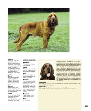 CABEÇA
Grande, em todas suas
dimensões exceto na
largura. Crânio muito alto,
pontiagudo, osso occipital
extremamente desenvolvido.
Pele da testa e das
bochechas profundamente
enrugadas. Lábios muito
longos e pendentes.
Mandíbulas muito longas
e largas.
OLHOS
Relativamente pequenos,
castanho avelã escuro.
Pálpebra inferior muito
pendente, descobrindo a
mucosa ocular vermelha
escura.
ORELHAS
Inseridas baixo, muito
longas, pendentes para a
frente contra as mandíbulas
em pregas graciosas.
CORPO
Largo e alongado. Pescoço
longo, bem musculado,
barbelas muito
desenvolvidas. Peito largo
e profundo. Dorso largo,
muito forte. Lombo sólido.
Ventre ligeiramente retraído.
MEMBROS
Musculosos, boa ossatura.
Patas redondas.
CAUDA
Portada em curva elegante e
mais alto do que a linha do
dorso, mas não sobre este.
PÊLO
Curto e bastante duro no
corpo, macio e sedoso nas
orelhas e no crânio.
PELAGEM
Preto e fogo, unicolor fogo,
castanho e fogo, sendo a
primeira cor a mais
procurada. A cor preta se
deve estender no dorso em
forma de sela, nos flancos,
sobre a nuca e a ponta da
cabeça. O branco não é
admitido.
TAMANHO
Macho: cerca de 67 cm.
Fêmea: cerca de 60 cm.
PESO
De 40 a 48 kg.
Temperamento, aptidões, educação
Inicialmente cão de caça grossa, era utilizado
para a caça grossa com matilha e cavalos (javali e
veado). Após ter cedido seu lugar nas matilhas se
tornou o sabujo por excelência que preparava as
caças. Podia prestar grandes serviços como cão
de sangue, cão de pista para seguir a caça ferida.
Seu faro excepcionalmente apurado, faz dele o
melhor cão de pista. É corajoso, perseverante,
resistente, aplicado, muito seguro. Ajuizado,
obediente, tem uma voz magnífica. Afetuoso,
muito dócil, calmo, se tornou num companheiro
agradável. Desconfiado com os estranhos, mas
sem agressividade, é um bom guarda dissuasivo.
Sua educação deve ser feita com suavidade, mas
com firmeza.
Conselhos
Apesar de seu tamanho, pode se adaptar à vida de cidade, mas necessita de muito
exercício. Escovação regular.
Utilização
Cão de caça. Cão de utilidade: pista humana (polícia). Cão de companhia.
231
 