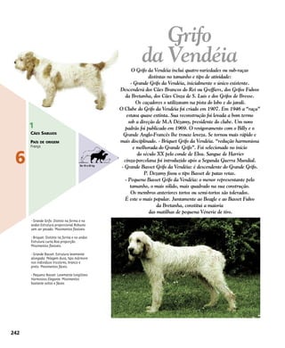 Grifo
da VendéiaO Grifo da Vendéia inclui quatro variedades ou sub-raças
distintas no tamanho e tipo de atividade:
- Grande Grifo da Vendéia, inicialmente o único existente.
Descenderá dos Cães Brancos do Rei ou Greffiers, dos Grifos Fulvos
da Bretanha, dos Cães Cinza de S. Luís e dos Grifos de Bresse.
Os caçadores o utilizavam na pista do lobo e do javali.
O Clube do Grifo da Vendéia foi criado em 1907. Em 1946 a “raça”
estava quase extinta. Sua reconstrução foi levada a bom termo
sob a direção de M.A Dézamy, presidente do clube. Um novo
padrão foi publicado em 1969. O revigoramento com o Billy e o
Grande Anglo-Francês lhe trouxe leveza. Se tornou mais rápido e
mais disciplinado. - Briquet Grifo da Vendéia. “redução harmoniosa
e melhorada do Grande Grifo”. Foi selecionado no início
do século XX pelo conde de Elva. Sangue de Harrier
cinza-porcelana foi introduzido após a Segunda Guerra Mundial.
- Grande Basset Grifo da Vendéia: é descendente do Grande Grifo.
P. Dezamy fixou o tipo Basset de patas retas.
- Pequeno Basset Grifo da Vendéia: o menor representante pelo
tamanho, o mais sólido, mais quadrado na sua construção.
Os membros anteriores tortos ou semi-tortos são tolerados.
É este o mais popular. Juntamente ao Beagle e ao Basset Fulvo
da Bretanha, constitui a maioria
das matilhas de pequena Vénerie de tiro.
242
6
1
CÃES SABUJOS
PAÍS DE ORIGEM
França
- Grande Grifo: Distnto na forma e no
andar.Estrutura proporcional.Robusto
sem ser pesado. Movimentos flexíveis.
- Briquet: Distinto na forma e no andar.
Estrutura curta.Boa proporção.
Movimentos flexíveis.
- Grande Basset: Estrutura levemente
alongada. Pelagem dura, tipo mármore
nos indivíduos tricolores, branco e
preto. Movimentos fáceis.
- Pequeno Basset: Levemente longilíneo.
Harmoioso.Elegante. Movimentos
bastante soltos e fáceis
De 10 a 45 kg
 