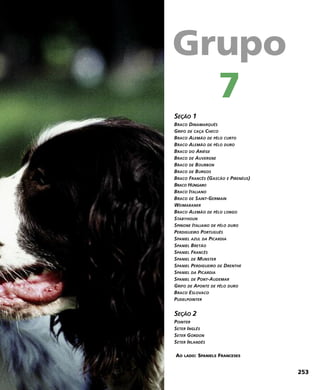 SEÇÃO 1
BRACO DINAMARQUÊS
GRIFO DE CAÇA CHECO
BRACO ALEMÃO DE PÊLO CURTO
BRACO ALEMÃO DE PÊLO DURO
BRACO DO ARIÈGE
BRACO DE AUVERGNE
BRACO DE BOURBON
BRACO DE BURGOS
BRACO FRANCÊS (GASCÃO E PIRENÉUS)
BRACO HÚNGARO
BRACO ITALIANO
BRACO DE SAINT-GERMAIN
WEIMARANER
BRACO ALEMÃO DE PÊLO LONGO
STABYHOUN
SPINONE ITALIANO DE PÊLO DURO
PERDIGUEIRO PORTUGUÊS
SPANIEL AZUL DA PICARDIA
SPANIEL BRETÃO
SPANIEL FRANCÊS
SPANIEL DE MUNSTER
SPANIEL PERDIGUEIRO DE DRENTHE
SPANIEL DA PICARDIA
SPANIEL DE PONT-AUDEMAR
GRIFO DE APONTE DE PÊLO DURO
BRACO ESLOVACO
PUDELPOINTER
SEÇÃO 2
POINTER
SETER INGLÊS
SETER GORDON
SETER IRLANDÊS
AO LADO: SPANIELS FRANCESES
Grupo
7
253
 