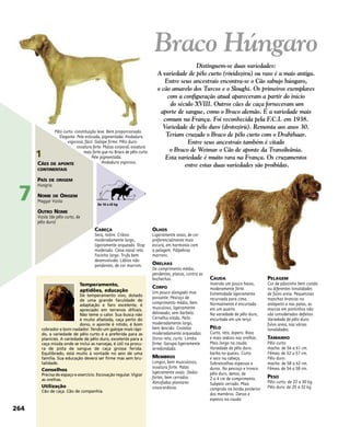 CABEÇA
Seca, nobre. Crânio
moderadamente largo,
ligeiramente arqueado. Stop
moderado. Cana nasal reta.
Focinho largo. Trufa bem
desenvolvida. Lábios não
pendentes, de cor marrom.
OLHOS
Ligeiramente ovais, de cor
preferencialmente mais
escura, em harmonia com
a pelagem. Pálpebras
marrons.
ORELHAS
De comprimento médio,
pendentes, planas, contra as
bochechas.
CORPO
Um pouco alongado mas
possante. Pescoço de
comprimento médio, bem
musculoso, ligeiramente
delineado, sem barbela.
Cernelha nítida. Peito
moderadamente largo,
bem descido. Costelas
moderadamente arqueadas.
Dorso reto, curto. Lombo
firme. Garupa ligeiramente
arredondada.
MEMBROS
Longos, bem musculosos,
ossatura forte. Patas
ligeiramente ovais. Dedos
fortes, bem cerrados.
Almofadas plantares
cinza-ardósia.
CAUDA
Inserida um pouco baixo,
moderamente forte.
Extremidade ligeiramente
recurvada para cima.
Normalmente é encurtada
em um quarto.
Na variedade de pêlo duro,
encurtada em um terço.
PÊLO
Curto, reto, áspero. Raso
e mais sedoso nas orelhas.
Mais longo na cauda.
Variedade de pêlo duro:
barba no queixo. Curto
e seco na cabeça.
Sobrancelhas espessas e
duras. No pescoço e tronco:
pêlo duro, denso, de
2 a 4 cm de comprimento.
Subpelo cerrado. Mais
comprido na borda posterior
dos membros. Denso e
espesso na cauda.
PELAGEM
Cor de pãozinho bem cozido
ou diferentes tonalidades
de fulvo areia. Pequeninas
manchas brancas no
antepeito a nas patas, as
marcas em pontinhos não
são considerados defeitos.
Variedade de pêlo duro:
fulvo areia, nas várias
tonalidades.
TAMANHO
Pêlo curto:
macho: de 56 a 61 cm.
Fêmea: de 52 a 57 cm.
Pêlo duro:
macho: de 58 a 62 cm.
Fêmea: de 54 a 58 cm.
PESO
Pêlo curto: de 22 a 30 kg.
Pêlo duro: de 25 a 32 kg.
Temperamento,
aptidões, educação
De temperamento vivo, dotado
de uma grande faculdade de
adaptação e faro excelente, é
apreciado em terrenos difíceis.
Não teme o calor. Sua busca não
é muito afastada, caça perto do
dono, o aponte é nítido, é bom
cobrador e bom nadador. Tendo um galope mais rápi-
do, a variedade de pêlo curto é a preferida para as
planícies. A variedade de pêlo duro, excelente para a
caça miúda onde se inclui as narcejas, é útil na procu-
ra de pista de sangue de caça grossa ferida.
Equilibrado, está muito à vontade no seio de uma
família. Sua educação deverá ser firme mas sem bru-
talidade.
Conselhos
Precisa de espaço e exercício. Escovação regular. Vigiar
as orelhas.
Utilização
Cão de caça. Cão de companhia.
Pêlo curto: constituição leve. Bem proporcionado.
Elegante. Pele esticada, pigmentada. Andadura
vigorosa, fácil. Galope firme. Pêlo duro:
ossatura forte. Massa corporal, ossatura
mais forte que no Braco de pêlo curto.
Pele pigmentada.
Andadura vigorosa.
Distinguem-se duas variedades:
A variedade de pêlo curto (rövidszöru) ou raso é a mais antiga.
Entre seus ancestrais encontra-se o Cão sabujo húngaro,
o cão amarelo dos Turcos e o Sloughi. Os primeiros exemplares
com a configuração atual apareceram a partir do início
do século XVIII. Outros cães de caça forneceram um
aporte de sangue, como o Braco alemão. É a variedade mais
comum na França. Foi reconhecida pela F.C.I. em 1938.
Variedade de pêlo duro (drotszörü). Remonta aos anos 30.
Teriam cruzado o Braco de pêlo curto com o Drahthaar.
Entre seus ancestrais também é citado
o Braco de Weimar o Cão de aponte da Transilvânia.
Esta variedade é muito rara na França. Os cruzamentos
entre estas duas variedades são proibidas.
264
7
1
CÃES DE APONTE
CONTINENTAIS
PAÍS DE ORIGEM
Hungria
NOME DE ORIGEM
Magyar Vizsla
OUTRO NOME
Vizsla (de pêlo curto, de
pêlo duro)
Braco Húngaro
De 10 a 45 kg
 