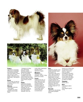 CABEÇA
Ligeiramente arredondada.
Crânio pouco arredondado.
Stop bastante acentuado.
Cana nasal retilínea. Focinho
mais curto que o crânio,
afinado. Lábios finos, juntos,
pigmentados. Trufa pequena,
preta.
OLHOS
Muito grandes, em avelã, de
cor escura. Pálpebras muito
pigmentadas.
ORELHAS
Implantadas muito para
trás na cabeça.
- Variedade com orelhas
pendentes, denominada
Falena.
- Variedade com orelhas
retas, denominada
Borboleta, mantida
obliquamente (ângulo de
45º com a horizontal).
O cruzamento das duas
variedades muitas vezes
produz orelhas meio eretas,
de pontas caídas. Essa forma
mista constitui uma falta
grave.
CORPO
Ligeiramente alongado.
Pescoço de comprimento
médio. Linha de cima nem
arqueada, nem com
concavidade exagerada.
Peito largo, bastante
rebaixado. Dorso reto.
Lombo sólido e ligeiramente
arqueado. Ventre
ligeiramente erguido.
MEMBROS
Muito finos. Patas
alongadas, “de lebre”. Unhas
fortes, de cor variável.
CAUDA
Fixada bastante alto, um
tanto longa, com muitas
franjas, formando como
um bonito penacho.
Quando em alerta, ela
é mantida erguida no
plano da espinha dorsal
e encurvada, a ponta
extrema pode estar
no nível do dorso.
PÊLO
Abundante, ondulado. Curto
na face, no focinho, diante
dos membros. De
comprimento médio sobre o
corpo, o pêlo se estende no
pescoço para formar uma
pequena gola e um papo
no peito. Franjas nas orelhas
e na parte posterior dos
membros anteriores. Culote
amplo atrás dos membros
posteriores. Pêlo de um
comprimento de 7,5 cm na
cernelha e franjas de 15 cm
na cauda.
PELAGEM
Todas as cores são admitidas
sobre fundo de pelagem
branca.
Quanto à cor, o branco deve
ser dominante no corpo e
membros. Procura-se o
branco na cabeça,
prolongado por uma faixa
mais ou menos larga. Uma
marca branca é admitida
na parte inferior da cabeça,
mas o branco dominante
na cabeça é um defeito.
TAMANHO
Máximo: 28 cm.
PESO
Uma categoria inferior
a 2,5 kg.
Uma categoria superior
a 5 kg.
333
 