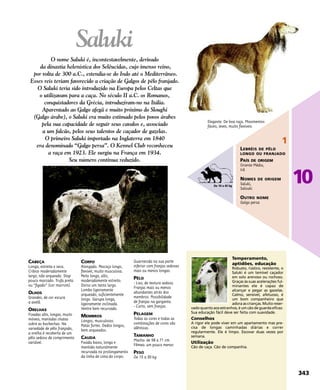 CABEÇA
Longa, estreita e seca.
Crânio moderadamente
largo, não arqueado. Stop
pouco marcado. Trufa preta
ou “figado” (cor marrom).
OLHOS
Grandes, de cor escura
a avelã.
ORELHAS
Fixadas alto, longas, muito
móveis, mantidas chatas
sobre as bochechas. Na
variedade de pêlo franjado,
a orelha é recoberta de um
pêlo sedoso de comprimento
variável.
CORPO
Alongado. Pescoço longo,
flexível, muito musculosa.
Peito longo, alto,
moderadamente estreito.
Dorso um tanto largo.
Lombo ligeiramente
arqueado, suficientemente
longo. Garupa longa,
ligeiramente inclinada.
Ventre bem recurvado.
MEMBROS
Longos, musculosos.
Patas fortes. Dedos longos,
bem arqueados.
CAUDA
Fixada baixo, longa e
mantida naturalmente
recurvada no prolongamento
da linha de cima do corpo.
Guarnecida na sua parte
inferior com franjas sedosas
mais ou menos longas.
PÊLO
- Liso, de textura sedosa.
Franjas mais ou menos
abundantes atrás dos
membros. Possibilidade
de franjas na garganta.
- Curto, sem franjas.
PELAGEM
Todas as cores e todas as
combinações de cores são
idênticas.
TAMANHO
Macho: de 58 a 71 cm.
Fêmea: um pouco menor.
PESO
De 15 a 30 kg.
Temperamento,
aptidões, educação
Robusto, rústico, resistente, o
Saluki é um temível caçador
em solo arenoso ou rochoso.
Graças às suas acelerações ful-
minantes ele é capaz de
alcançar e pegar as gazelas.
Calmo, sensível, afetuoso, é
um bom companheiro que
adora as crianças. Muito reser-
vado quanto aos estranhos, é um cão de guarda eficaz.
Sua educação fácil deve ser feita com suavidade.
Conselhos
A rigor ele pode viver em um apartamento mas pre-
cisa de longas caminhadas diárias e correr
regularmente. Ele é limpo. Escovar duas vezes por
semana.
Utilização
Cão de caça. Cão de companhia.
Elegante. De boa raça. Movimentos
fáceis, leves, muito flexíveis.
Saluki
O nome Saluki é, incontestavelmente, derivado
da dinastia helenística dos Selêucidas, cujo imenso reino,
por volta de 300 a.C., estendia-se do Indo até o Mediterrâneo.
Esses reis teriam favorecido a criação de Galgos de pêlo franjado.
O Saluki teria sido introduzido na Europa pelos Celtas que
o utilizavam para a caça. No século II a.C. os Romanos,
conquistadores da Grécia, introduziram-no na Itália.
Aparentado ao Galgo afegã e muito próximo do Sloughi
(Galgo árabe), o Saluki era muito estimado pelos povos árabes
pela sua capacidade de seguir seus cavalos e, associado
a um falcão, pelos seus talentos de caçador de gazelas.
O primeiro Saluki importado na Inglaterra em 1840
era denominado “Galgo persa”. O Kennel Club reconheceu
a raça em 1923. Ele surgiu na França em 1934.
Seu número continua reduzido.
343
10
1
LEBRÉIS DE PÊLO
LONGO OU FRANJADO
PAÍS DE ORIGEM
Oriente Médio,
Irã
NOMES DE ORIGEM
Saluki,
Salouki
OUTRO NOME
Galgo persa
De 10 a 45 kg
 