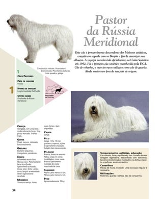 1
CABEÇA
Alongada, com uma testa
moderadamente larga. Stop
pouco marcado. Grande
trufa.
OLHOS
Ovais, escuros, colocados
horizontalmente.
ORELHAS
Bastante pequenas,
triangulares, pendentes.
CORPO
Fortemente musculoso.
Pescoço seco. Peito bastante
largo e profundo,
ligeiramente achatado.
Dorso reto e forte. Lombo
curto, largo e arredondado.
Ventre ligeiramente
recolhido.
MEMBROS
Ossatura maciça. Patas
ovais, fortes e bem
arqueadas.
CAUDA
Longa.
PÊLO
Longo (10 a 15 cm),
grosseiro, espesso, tufoso
e ligeiramente ondulado.
Subpêlo bem desenvolvido.
PELAGEM
Branca, branca e amarela.
Palha, cinza em várias
tonalidades, cinza suave.
Branca ligeiramente
marcada de cinza,
manchada de cinza.
TAMANHO
Macho: pelo menos 65 cm.
Fêmea: pelo menos 62 cm.
PESO
Aproximadamente 25 kg.
Temperamento, aptidões, educação
Cão robusto, forte, equilibrado, vivo. Dotado de uma
coragem legendária, desconfiado com estranhos.
Geralmente dominador, muito ativo na defesa. Aspec-
to orgulhoso, porém simpático.
Conselhos
Precisa de muita atividade. Uma escovação regular é
necessária.
Utilizações
Pastoreio, guarda e defesa. Cão de companhia.
Constituição robusta. Musculatura
desenvolvida. Movimentos naturais:
trote pesado e galope.
34
1
CÃES PASTORES
PAÍS DE ORIGEM
Rússia
NOME DE ORIGEM
Loujnorousskaïa Ovtcharka
OUTRO NOME
Ovtcharka de Rússia
meridional
Pastor
da Rússia
Meridional
Este cão é provavelmente descendente dos Molossos asiáticos,
cruzado em seguida com os Borzóis a fim de amenizar sua
silhueta. A raça foi reconhecida oficialmente na União Soviética
em 1952. Foi o primeiro cão soviético reconhecido pela F.C.I.
Cão de rebanho, o exército russo utiliza-o como cão de guarda.
Ainda muito raro fora de seu país de origem.
Raças médias
de 10 a 25 kg
 
