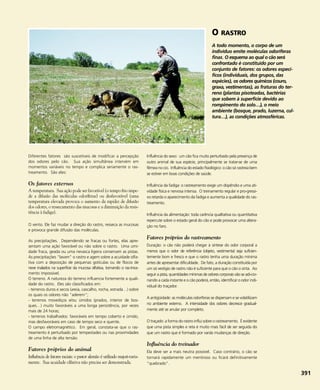 Diferentes fatores são suscetíveis de modificar a percepção
dos odores pelo cão. Sua ação simultânea intervém em
momentos variáveis no tempo e complica seriamente o ras-
treamento. São eles:
Os fatores externos
A temperatura. Sua ação pode ser favorável (o tempo frio impe-
de a difusão das moléculas odoríferas) ou desfavorável (uma
temperatura elevada provoca o aumento da rapidez de difusão
dos odores, o ressecamento das mucosas e a diminuição da resis-
tência à fadiga).
O vento. Ele faz mudar a direção do rastro, resseca as mucosas
e provoca grande difusão das moléculas.
As precipitações. Dependendo se fracas ou fortes, elas apre-
sentam uma ação favorável ou não sobre o rastro. Uma umi-
dade fraca, geada ou uma nevasca ligeira conservam as pistas.
As precipitações "lavam" o rastro e agem sobre a acuidade olfa-
tiva com a deposição de pequenas gotículas ou de flocos de
neve inalados na superfície da mucosa olfativa, tornando o ras-trea-
mento impossível.
O terreno. A natureza do terreno influencia fortemente a quali-
dade do rastro. Eles são classificados em:
- terrenos duros e secos (areia, cascalho, rocha, estrada…) sobre
os quais os odores não "aderem";
- terrenos movediços e/ou úmidos (prados, interior de bos-
ques…) muito favoráveis a uma longa persistência, por vezes
mais de 24 horas;
- terrenos trabalhados: favoráveis em tempo coberto e úmido,
mas desfavoráveis em caso de tempo seco e quente.
O campo eletromagnético. Em geral, constata-se que o ras-
treamento é perturbado por tempestades ou nas proximidades
de uma linha de alta tensão.
Fatores próprios do animal
Influência de fatores raciais: o pastor alemão é utilizado majori-taria-
mente. Sua acuidade olfativa não precisa ser demonstrada.
Influência do sexo: um cão fica muito perturbado pela presença de
outro animal de sua espécie, principalmente se tratar-se de uma
fêmea no cio. Influência do estado fisiológico: o cão só rastreia bem
se estiver em boas condições de saúde.
Influência da fadiga: o rastreamento exige um dispêndio e uma ati-
vidade física e nervosa intensa. O treinamento regular e pro-gressi-
vo retarda o aparecimento da fadiga e aumenta a qualidade do ras-
treamento.
Influência da alimentação: toda carência qualitativa ou quantitativa
repercute sobre o estado geral do cão e pode provocar uma altera-
ção no faro.
Fatores próprios do rastreamento
Duração: o cão não poderá chegar à síntese do odor corporal a
menos que o odor de referência (objeto, vestimenta) seja suficien-
temente bom e fresco e que o rastro tenha uma duração mínima
antes de apresentar dificuldade. De fato, a duração constituída por
um só vestígio de rastro não é suficiente para que o cão o sinta. Ao
seguir a pista, quantidades mínimas de odores corporais vão se adi-cio-
nando a cada instante e o cão poderá, então, identificar o odor indi-
vidual do traçador.
A antigüidade: as moléculas odoríferas se dispersam e se volatilizam
no ambiente externo. A intensidade dos odores decresce gradual-
mente até se anular por completo.
O traçado: a forma do rastro influi sobre o rastreamento. É evidente
que uma pista simples e reta é muito mais fácil de ser seguida do
que um rastro que é formado por variás mudanças de direção.
Influência do treinador
Ela deve ser a mais neutra possível. Caso contrário, o cão se
tornará rapidamente um mentiroso ou ficará definitivamente
"quebrado".
391
O RASTRO
A todo momento, o corpo de um
indivíduo emite moléculas odoríferas
finas. O esquema ao qual o cão será
confrontado é constituído por um
conjunto de fatores: os odores especí-
ficos (individuais, dos grupos, das
espécies), os odores químicos (couro,
graxa, vestimentas), as fraturas do ter-
reno (plantas pisoteadas, bactérias
que sobem à superfície devido ao
rompimento do solo…), o meio
ambiente (bosque, prado, luzerna, cul-
tura…), as condições atmosféricas.
 