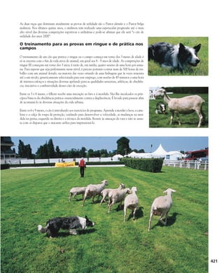 As duas raças que dominam atualmente as provas de utilidade são o Pastor alemão e o Pastor belga
malinois. Nos últimos quinze anos, o malinois tem realizado uma espetacular progressão até o mais
alto nível das diversas competições esportivas e utilitárias e pode-se afirmar que ele será “o cão de
utilidade dos anos 2000”.
O treinamento para as provas em ringue e de prática nos
campos
O treinamento de um cão que pratica o ringue ou o campo começa em torno dos 3 meses de idade é
só se encerra com o fim da vida ativa do animal, em geral aos 8 - 9 anos de idade. As competições de
ringue III começam em torno dos 3 anos, à razão de, em média, quatro sessões de uma hora por sema-
na. Para esperar que seja performante nesse nível, é preciso portanto contar mais de 500 horas de tra-
balho com um animal dotado, na maioria das vezes oriundo de uma linhagem que às vezes remonta
até a um século, geneticamente selecionada para esse emprego, com sessões de 45 minutos a uma hora
de intensos esforços e situações diversas apelando para as qualidades sensoriais, atléticas, de obediên-
cia, iniciativa e combatividade desses cães de exceção.
Entre os 3 e 6 meses, o filhote recebe uma iniciação ao faro e à mordida. São-lhe inculcados os prin-
cípios básicos da obediência prática: essencialmente contra a displiscência. É levado para passear afim
de acostumá-lo às diversas situações da vida urbana.
Entre os 6 e 9 meses, o cão é introduzido aos exercícios do programa. Aprende a morder a luva, a cane-
leira e a calça da roupa de proteção, cuidando para desenvolver a velocidade, as mudanças na mor-
dida na perna, esquerda ou direita e a técnica da mordida. Resiste às ameaças da vara e não se assus-
ta com os disparos que o atacante utiliza para impressioná-lo.
421
 