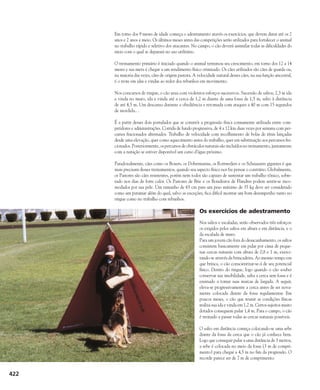 422
Em torno dos 9 meses de idade começa o adestramento atavés os exercícios, que devem durar até os 2
anos e 2 anos e meio. Os últimos meses antes das competições serão utilizados para fortalecer o animal
no trabalho rápido e seletivo dos atacantes. No campo, o cão deverá assimilar todas as dificuldades do
meio com o qual se deparará no uso utilitário.
O treinamento primário é iniciado quando o animal terminou seu crescimento, em torno dos 12 a 14
meses e sua meta é chegar a um rendimento físico otimizado. Os cães utilizados são cães de guarda ou,
na maioria das vezes, cães de origem pastora. A velocidade natural desses cães, na sua função ancestral,
é o trote em idas e vindas ao redor dos rebanhos em movimento.
Nos concursos de ringue, o cão atua com violentos esforços sucessivos. Sucessão de saltos, 2,3 m ida
e vinda no muro, ida e vinda até a cerca de 1,2 m diante de uma fossa de 1,5 m, salto à distância
de até 4,5 m. Um descanso durante a obediência e retomada com ataques a 40 m com 15 segundos
de mordida…
É a partir desses dois postulados que se constrói a progressão física comumente utilizada entre com-
petidores e administrações. Corrida de fundo progressiva, de 4 a 12 km duas vezes por semana com per-
cursos fracionados alternados. Trabalho de velocidade com recolhimento de bolas de tênis lançadas
desde uma elevação, quer como aquecimento antes do trabalho, quer em substituição aos percursos fra-
cionados. Posteriormente, os percursos de obstáculos naturais são incluídos no treinamento, juntamente
com a natação se estiver disponível um curso d’água próximo.
Paradoxalmente, cães como os Boxers, os Dobermanns, os Rottweilers e os Schnauzers gigantes é que
mais precisam desses treinamentos, quando seu aspecto físico nos faz pensar o contrário. Globalmente,
os Pastores são cães resistentes, porém nem todos são capazes de sustentar um trabalho tônico, sobre-
tudo nos dias de forte calor. Os Pastores de Brie e os Boiadeiros de Flandres podem sentir-se inco-
modados por sua pele. Um tamanho de 65 cm para um peso máximo de 35 kg deve ser considerado
como um patamar além do qual, salvo as exceções, fica difícil mostrar um bom desempenho tanto no
ringue como no trabalho com rebanhos.
Os exercícios de adestramento
Nos saltos e escaladas, serão observados três esforços:
os exigidos pelos saltos em altura e em distância, e o
da escalada de muro.
Para um jovem cão fora do desacanhamento, os saltos
consistem basicamente em pular por cima de peque-
nas cercas naturais com altura de 0,8 e 1 m, exerci-
tando-se através da brincadeira. Ao mesmo tempo em
que brinca, o cão conscientizar-se-á de seu potencial
físico. Dentro do ringue, logo quando o cão souber
conservar sua imobilidade, salta a cerca sem fossa e é
ensinado a tomar suas marcas de largada. A seguir,
eleva-se progressivamente a cerca antes de ser nova-
mente colocada diante da fossa regulamentar. Em
poucos meses, o cão que reunir as condições físicas
realiza sua ida e vinda em 1,2 m. Certos sujeitos muito
dotados conseguem pular 1,4 m. Para o campo, o cão
é treinado a passar todas as cercas naturais possíveis.
O salto em distância começa colocando-se uma sebe
diante da fossa da cerca que o cão já conhece bem.
Logo que conseguir pular a uma distância de 3 metros,
a sebe é colocada no meio da fossa (3 m de compri-
mento) para chegar a 4,5 m no fim da progressão. O
recorde parece ser de 7 m de comprimento.
 