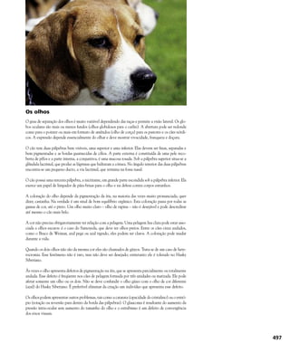 Enciclopédia do Cão