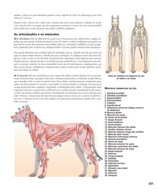 Enciclopédia do Cão