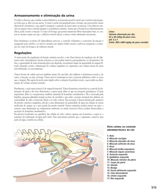 Enciclopédia do Cão