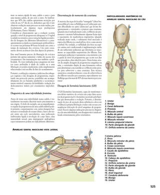 Enciclopédia do Cão