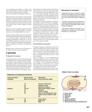 Enciclopédia do Cão