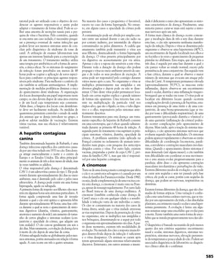 Enciclopédia do Cão