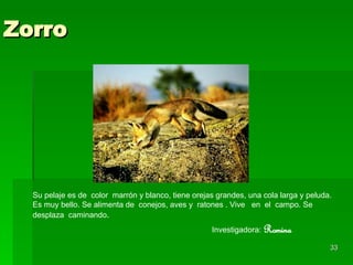 Zorro Su pelaje es de  color  marrón y blanco, tiene orejas grandes, una cola larga y peluda. Es muy bello. Se alimenta de  conejos, aves y  ratones . Vive  en  el  campo. Se  desplaza  caminando .  Investigadora:   Romina 