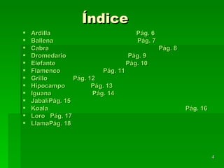 Índice Ardilla                                  		                Pág. 6 Ballena                                 		                Pág. 7 Cabra                               	                 	                Pág. 8 Dromedario 		                   	                Pág. 9 Elefante  		                       	                Pág. 10 Flamenco 	       		                 	Pág. 11 Grillo			               	Pág. 12 Hipocampo				               	Pág. 13 Iguana 	                       			Pág. 14 Jabalí					Pág. 15 Koala                                                                                Pág. 16 Loro   					Pág. 17 Llama					Pág. 18 