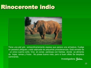 Rinoceronte indio Tiene una piel gris  extraordinariamente espesa que parece una armadura. Cuelga en pesados pliegues y está salpicada de pequeñas protuberancias. Está armado de  un único cuerno corto. Vive  en zonas  pantosas con hierbas  donde  se alimenta de  hojas, ramas y frutos . No posee buena vista, pero si buen olfato   Se desplaza caminando. Investigadora:  Julieta. 