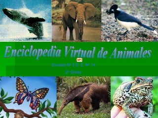 Enciclopedia Virtual de Animales Escuela Nº 3 D. E. Nº 14   2º Grado  