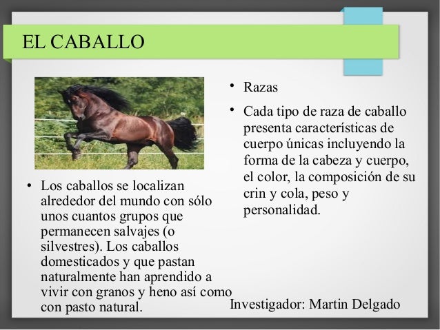 Enciclopedia 2° a