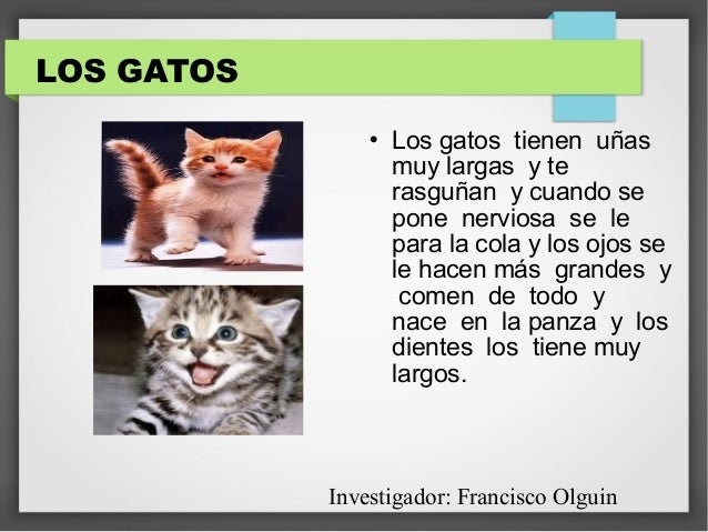 Enciclopedia 2° a