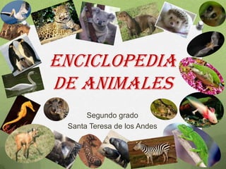 ENCICLOPEDIA
DE ANIMALES
Segundo grado
Santa Teresa de los Andes

 