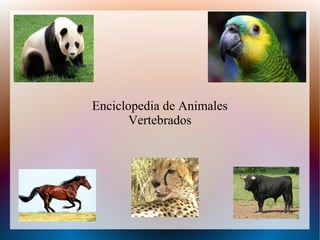 Enciclopedia de Animales
Vertebrados
 