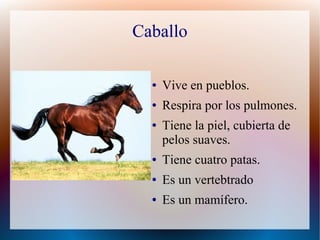 Caballo
● Vive en pueblos.
● Respira por los pulmones.
● Tiene la piel, cubierta de
pelos suaves.
● Tiene cuatro patas.
● Es un vertebtrado
● Es un mamífero.