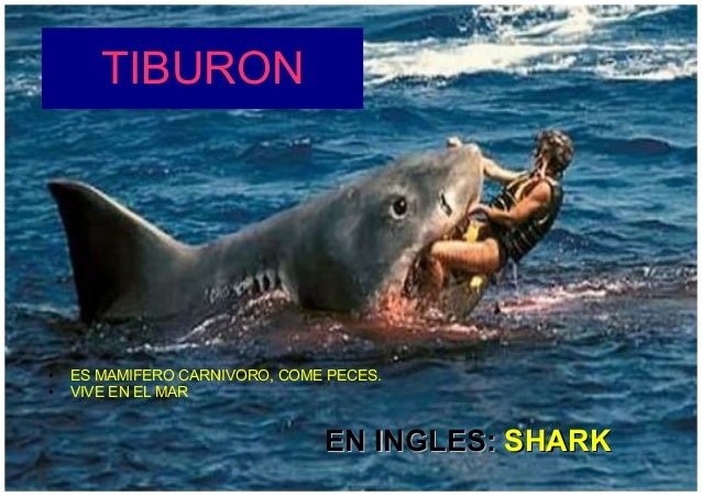 Enciclopedia en orden 2