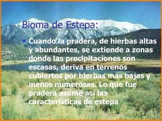 Bioma de Estepa: Cuando la pradera, de hierbas altas y abundantes, se extiende a zonas donde las precipitaciones son escasas, deriva en terrenos cubiertos por hierbas más bajas y menos numerosas. Lo que fue pradera asume así las características de estepa   