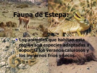 Fauna de Estepa: Los animales que habitan esta región son especies adaptadas a soportar los veranos calurosos y los inviernos fríos y secos. 