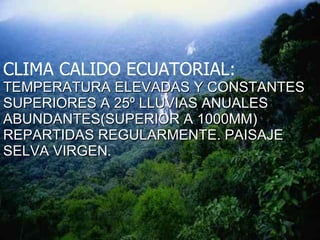 CLIMA CALIDO ECUATORIAL: TEMPERATURA   ELEVADAS Y CONSTANTES SUPERIORES A 25º LLUVIAS ANUALES ABUNDANTES(SUPERIOR A 1000MM) REPARTIDAS REGULARMENTE. PAISAJE SELVA VIRGEN . 