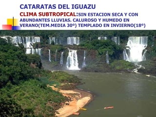 CATARATAS DEL IGUAZU CLIMA SUBTROPICAL : SIN ESTACION SECA Y CON ABUNDANTES LLUVIAS. CALUROSO Y HUMEDO EN VERANO(TEM.MEDIA 30º) TEMPLADO EN INVIERNO(18º) 