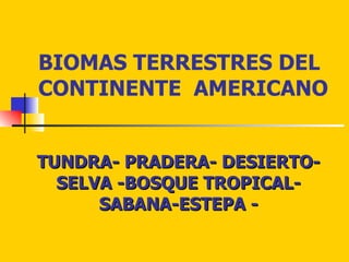 BIOMAS TERRESTRES DEL CONTINENTE  AMERICANO TUNDRA- PRADERA- DESIERTO-SELVA -BOSQUE TROPICAL- SABANA-ESTEPA - 