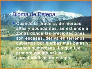 Bioma de Estepa:
 Cuando la pradera, de hierbas
altas y abundantes, se extiende a
zonas donde las precipitaciones
son escasas, deriva en terrenos
cubiertos por hierbas más bajas y
menos numerosas. Lo que fue
pradera asume así las
características de estepa
 