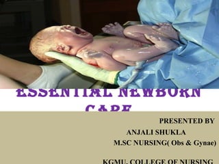 EssEntial nEwborn
CarE PRESENTED BY
ANJALI SHUKLA
M.SC NURSING( Obs & Gynae)
 