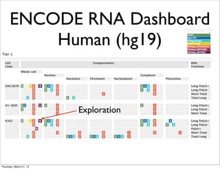 Encode RNA Dashboard | PPT