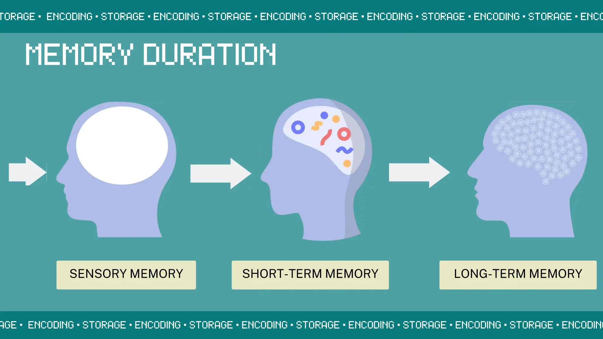 SENSORY MEMORY SHORT-TERM MEMORY LONG-TERM MEMORY
 