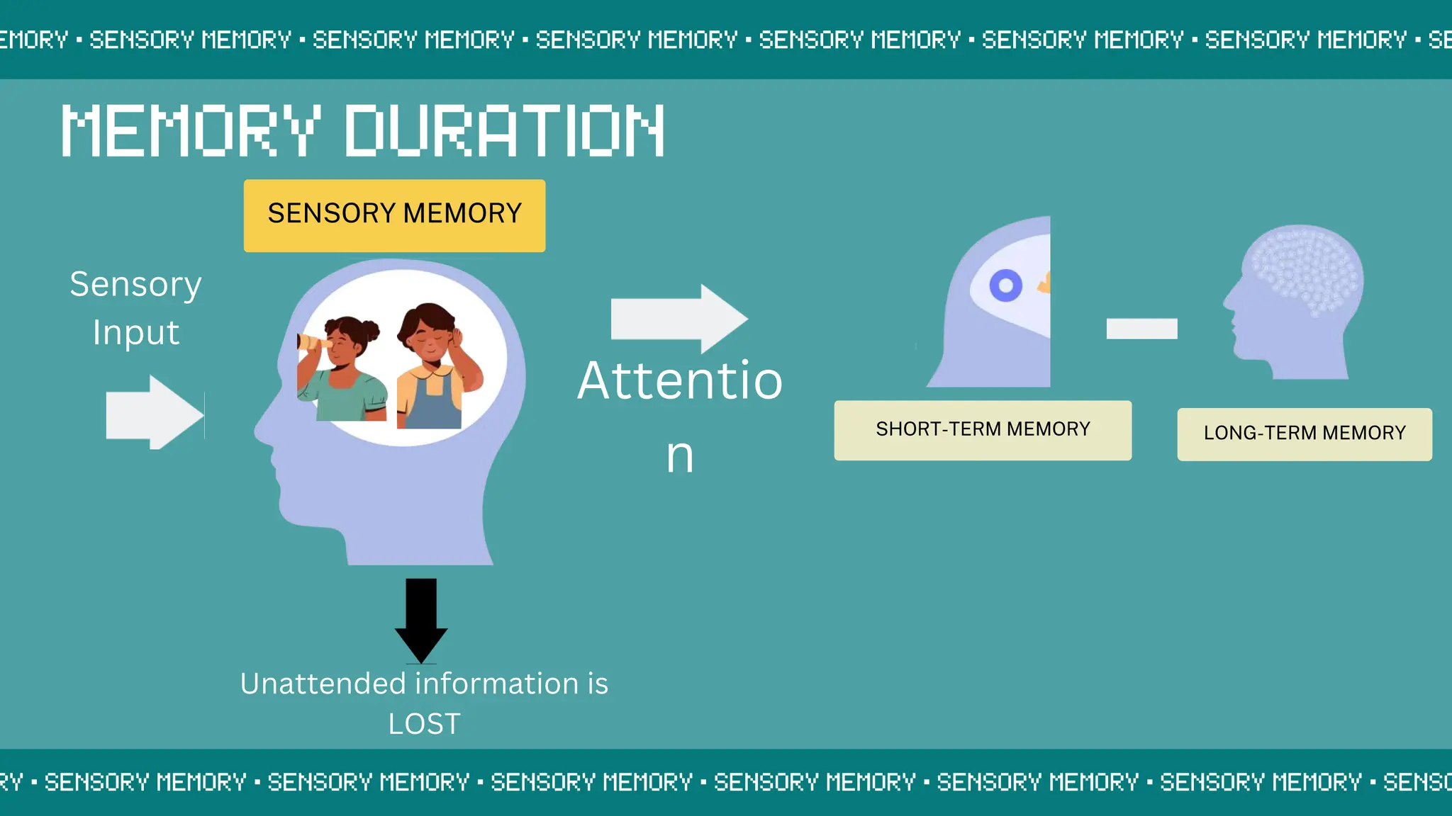 SENSORY MEMORY
SHORT-TERM MEMORY LONG-TERM MEMORY
Sensory
Input
Unattended information is
LOST
Attentio
n
 
