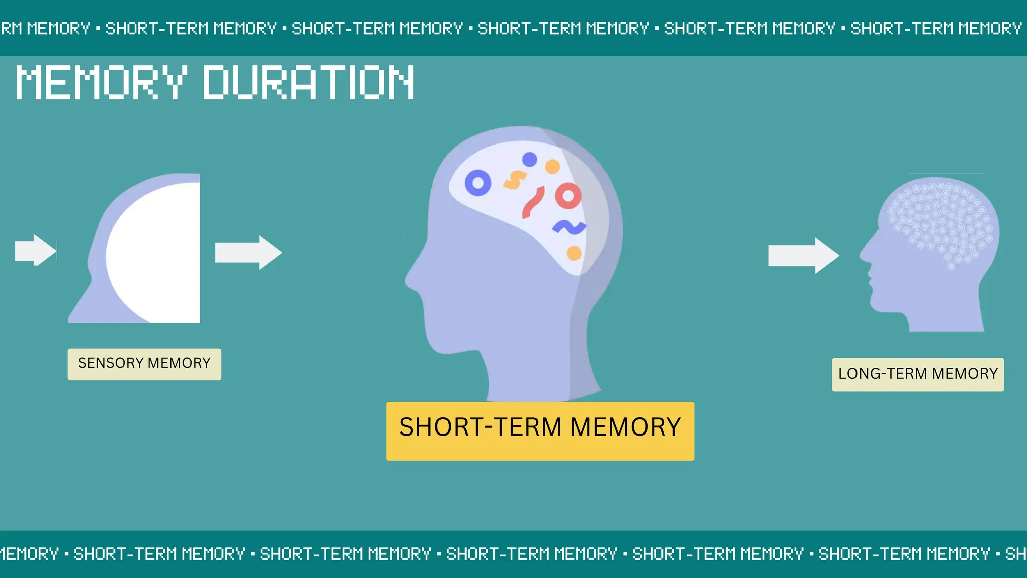 SENSORY MEMORY
SHORT-TERM MEMORY
LONG-TERM MEMORY
 