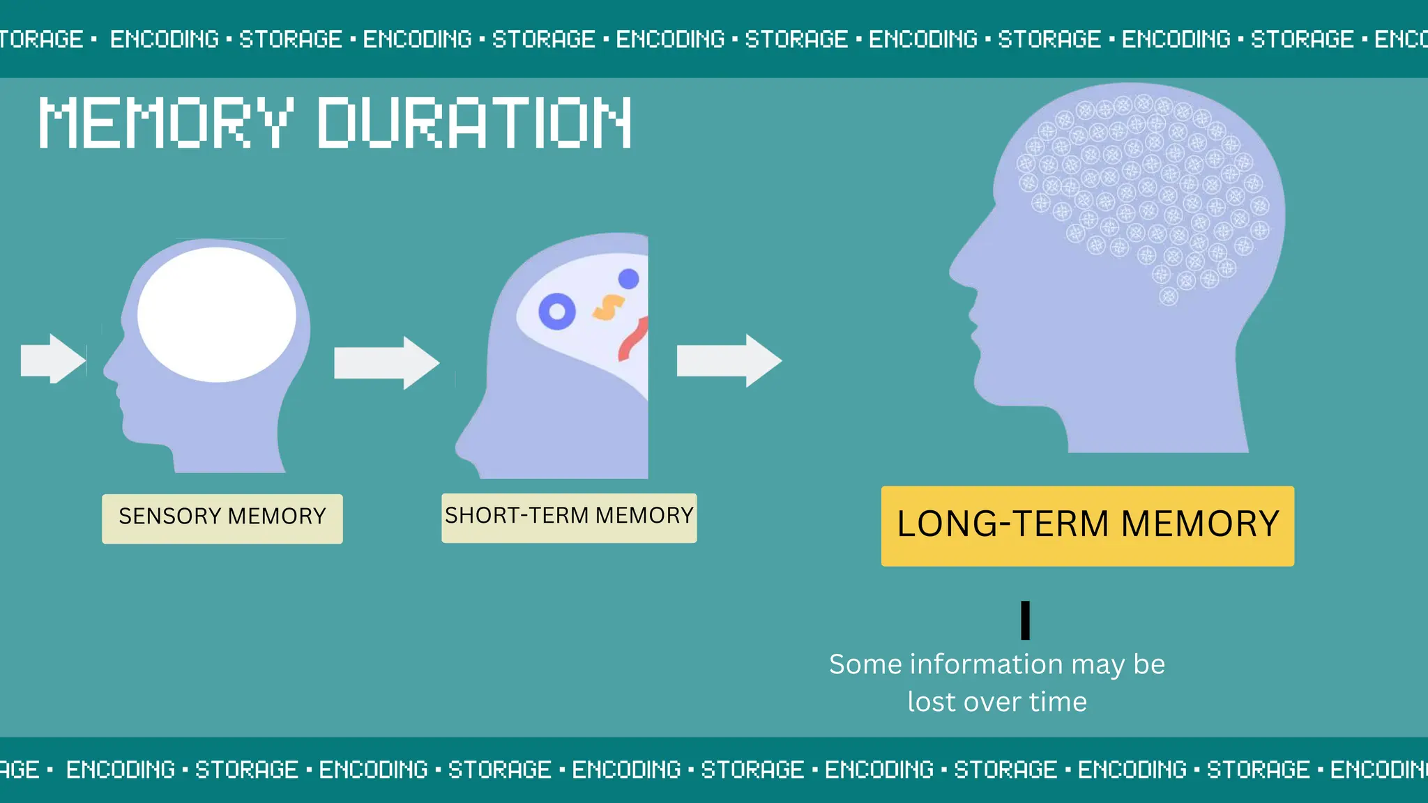 SENSORY MEMORY SHORT-TERM MEMORY
LONG-TERM MEMORY
Some information may be
lost over time
 