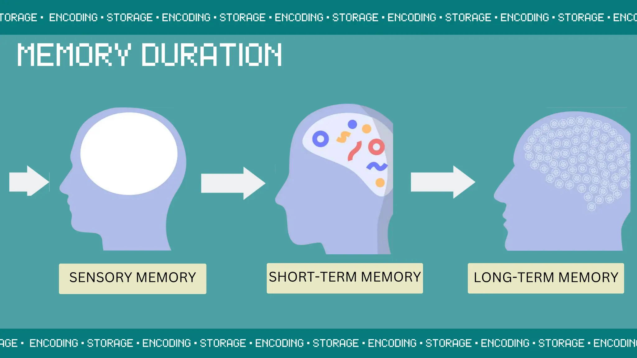 SENSORY MEMORY SHORT-TERM MEMORY LONG-TERM MEMORY
 